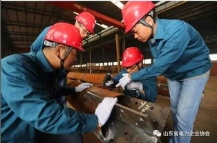 第三屆山東省電力行業(yè)征文 攝影比賽 攝影類 作品賞析