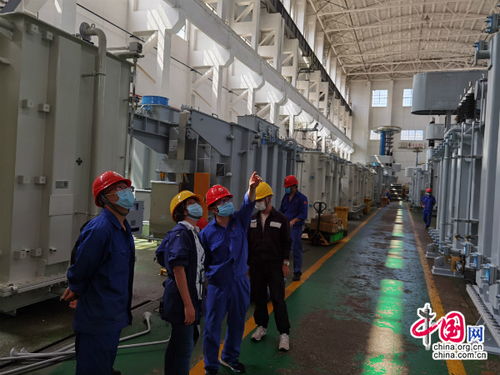 云南電力科學(xué)研究院配電學(xué)員到變壓器廠交流學(xué)習(xí)