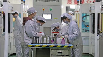 金華雨水暫歇天空放晴 尋香賞梅正當(dāng)時(shí)